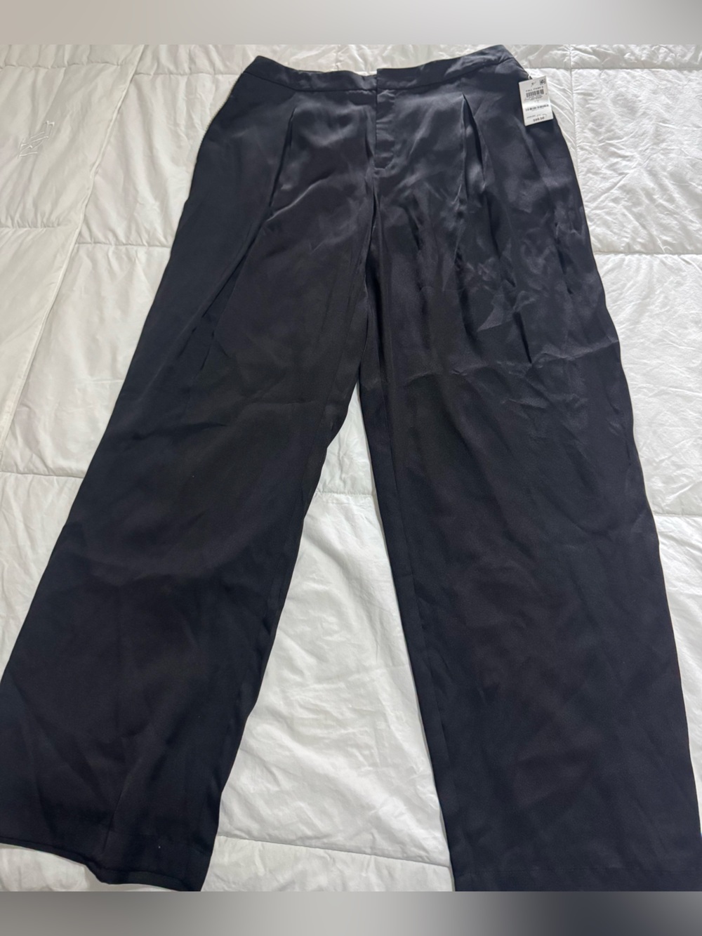 Black Wide-Leg Pleated Dress Pants